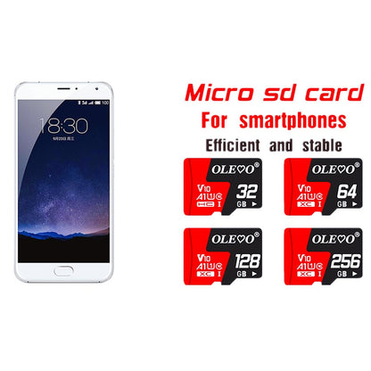 Cartão de Memória Classe 10 256GB 128GB 64GB 32GB 16GB Micro V10 cartão sd cartão de memória flash 8GB 4GB Cartão de Memória TF/SD para Celular