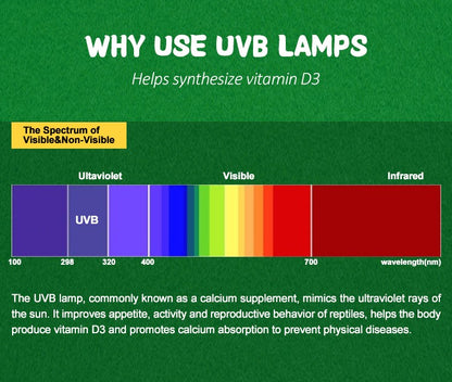 Lâmpada Fluorescente Compacta para Pássaros, 2.4% UVB, 20W, Rosca