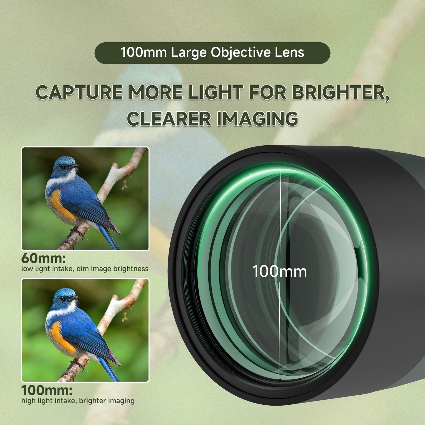 Svbony 25-75x100mm SV28A Lunetas de Observação Anguladas com Tripé e Adaptador de Telefone Telescópio FMC para Observação de Pássaros Observação Diária