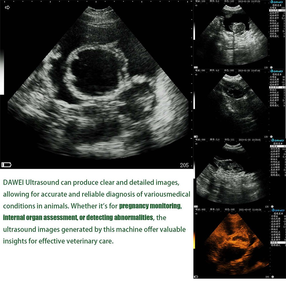 Scanner Veterinário Portátil de Ultrassom para Gestação, Máquina Veterinária Ultra B com Sonda Convexa de 3.5MHz para Porcos, Ovelhas, Cães e Animais