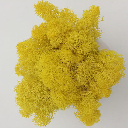 200/1000g Quality Artificial Green Plant Eternal Life Moss Fake Flower Moss Grass Home Living Decorative Wall DIY Micro Landscap