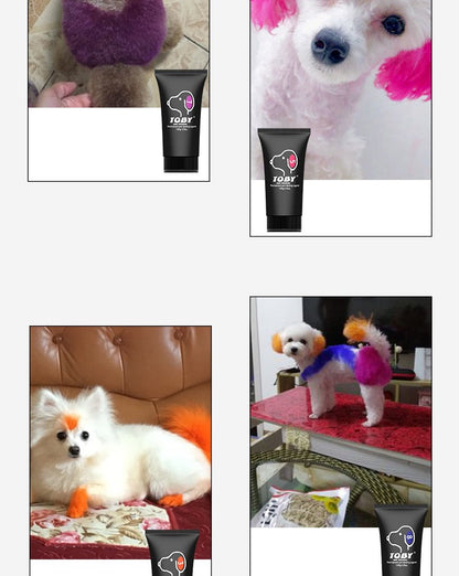 Creme Tinta Para Cães E Gatos 150g Frasco Grande Com Variedade De Cores Puras Tinge Bichon Teddy