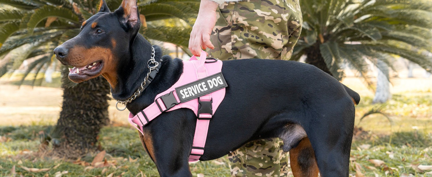 Personalized dog harness custom name tag doberman pinscher breathable adjustable pet harness suitable for medium and large dogs