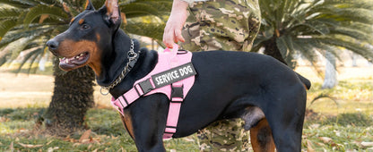 Personalized dog harness custom name tag doberman pinscher breathable adjustable pet harness suitable for medium and large dogs
