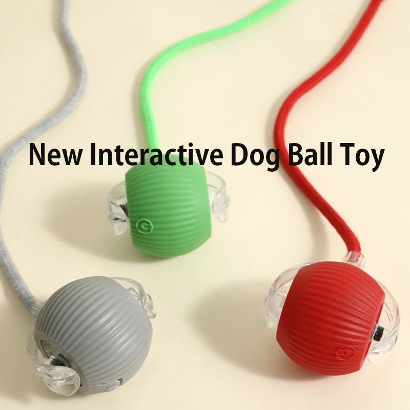 Novo Brinquedo Interativo de Bola para Cães, Bola Automática para Cães Recarregável, Brinquedo Interativo Inteligente para Filhotes, Bolas Inteligentes para Cães