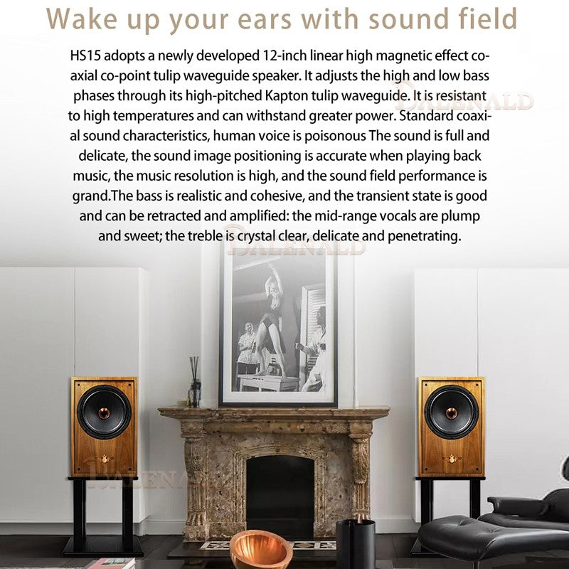 Caixas de som hifi Banlong de alta fidelidade coaxial de 12 polegadas, bookshelf, caixas de som de alta fidelidade, áudio passivo com acabamento em madeira.