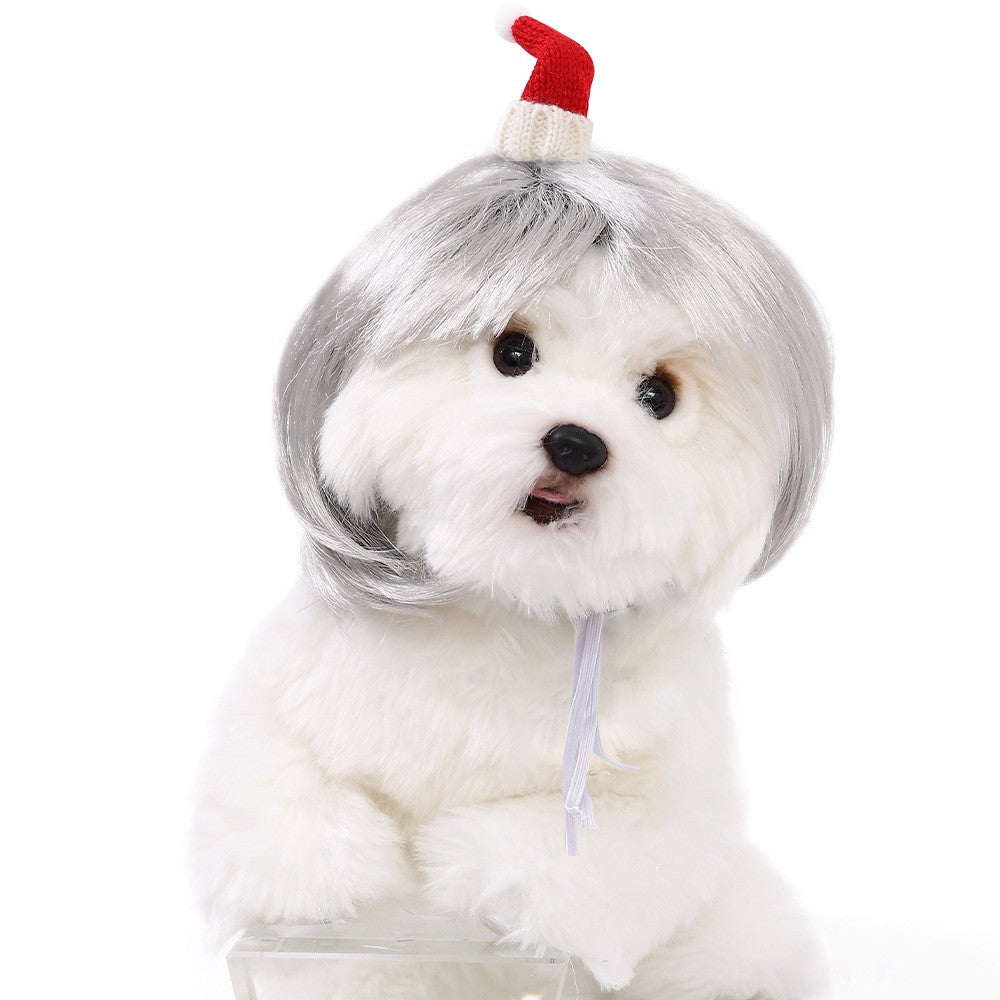Peruca para Animais de Estimação, Peruca para Cachorro, Suprimentos para Animais de Estimação, Acessórios de Halloween para Animais de Estimação, Peruca de Cabelo Cacheado, Cabelo Liso, Peruca para Gato, Pode Ser Aparada (DIY)
