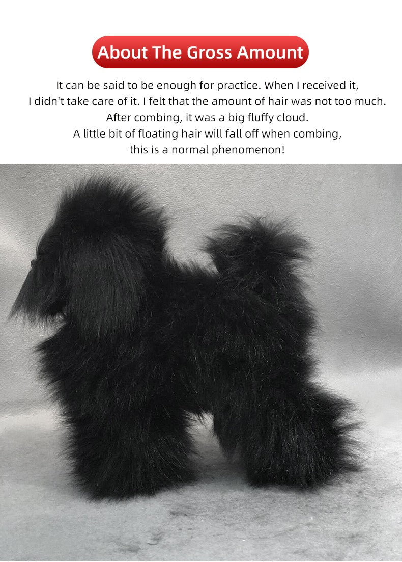 Modelo profissional de cachorro para prática de tosa, esqueleto padrão de cachorro, modelo de simulador de tosa para pets