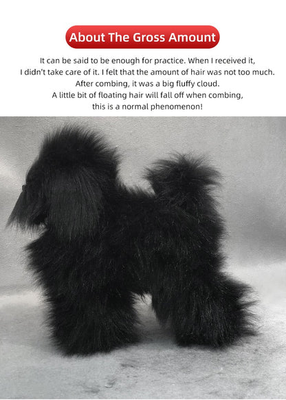 Modelo profissional de cachorro para prática de tosa, esqueleto padrão de cachorro, modelo de simulador de tosa para pets