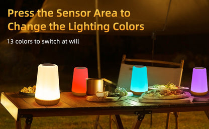 13 RGB Color Changing Portable Bedside Lamp Dimmable Remote Control USB Rechargeable Touch Night Light for Living Room Bedroom G