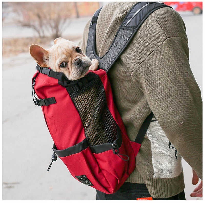 Mochila de Transporte para Cães de Estimação para Caminhada, Viagem, Ventilação Externa, Respirável, Bicicleta, Motocicleta, Esportes ao Ar Livre, Bolsa de Malha, Drop Shipping