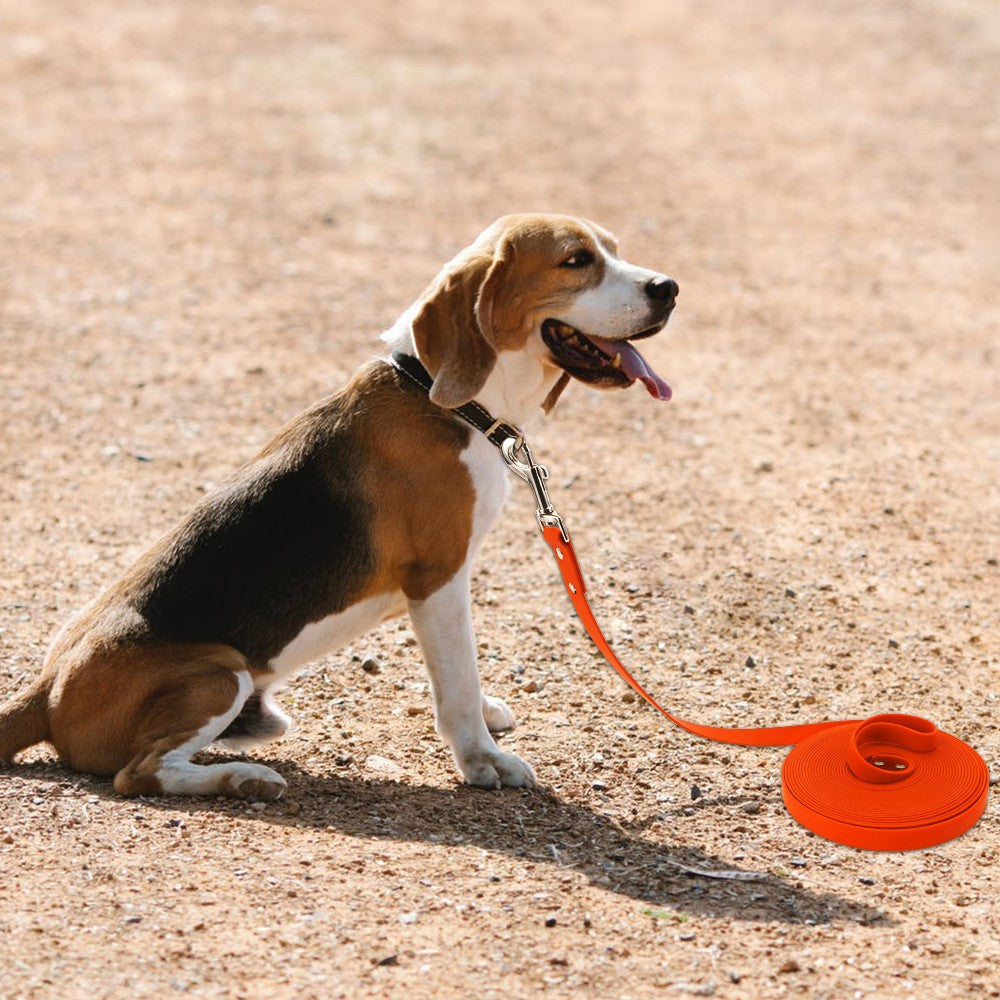 Guia de Cachorro Impermeável Longa de PVC Coleira Fácil de Limpar para Cães Pequenos, Médios, Grandes, Grandes, para Caminhada e Adestramento, 3m 5m 10m 15m