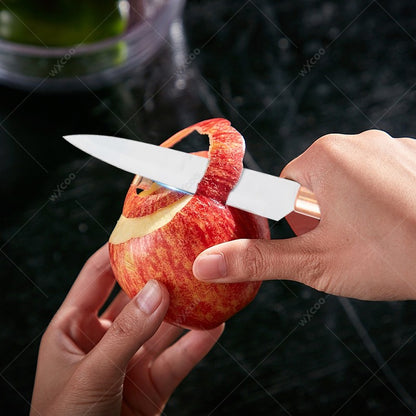Conjunto de Facas de Cozinha 8 Peças em Aço Inoxidável com Bloco de Facas Combinado Faca de Cozinha para Fatiar Cutelo de Carne Facas de Fruta