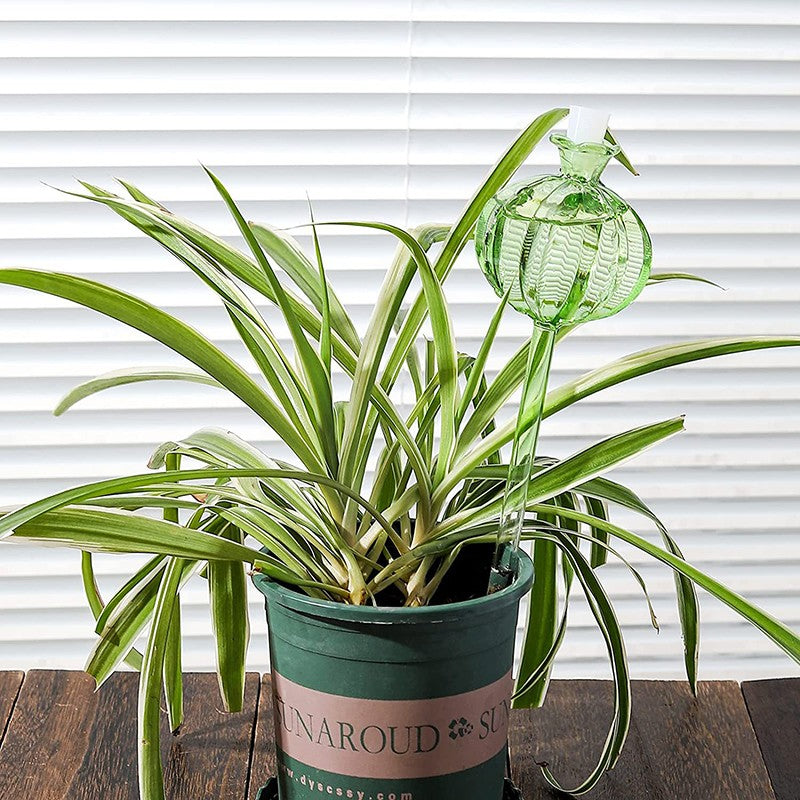 Simulated Glass Automatic Plant Watering Bulbs Shape Flower Plant Water Dripper Lightweight Plant Device Drip Irrigation System