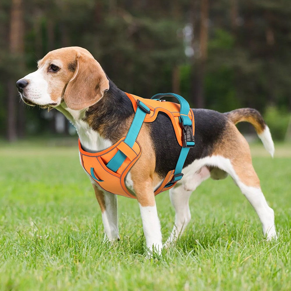 Colete para Cães com Arnês Respirável em Malha, Colete Refletivo de Nylon para Cães, Colete Durável para Treinamento de Animais de Estimação, Ajustável para Cães Pequenos, Médios e Grandes
