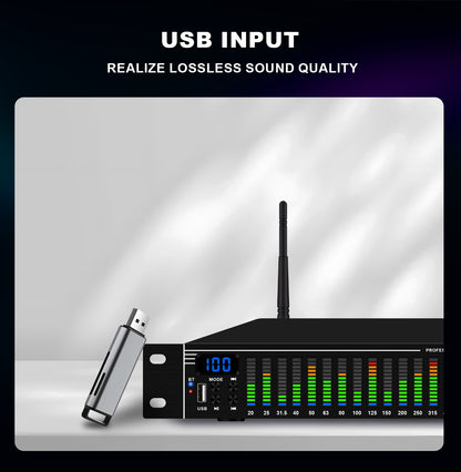EQ31SUB Digital Equalizer 31 Stage Tuner Professional Stage Performance Noise Reduction Audio Processing