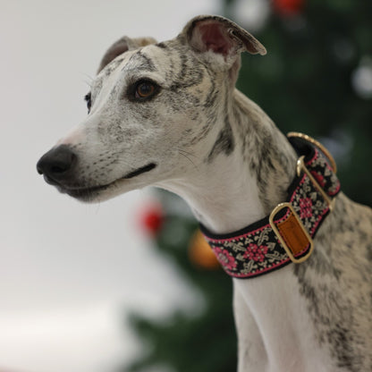Coleira Martingale para Cães Galinhas / Coleira para Galgo Inglês / Coleira para Galgo Italiano / Coleira para Lurcher / Coleira para Whippet / Coleira para Galgo Espanhol