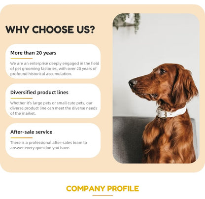 Caixa Secadora Automática de Animais de Estimação EUR PET para Cães e Gatos de Médio e Grande Porte Equipamento de Pet Shop com Baixo Ruído