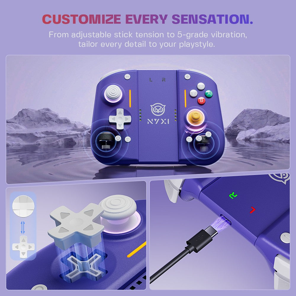 NYXI Hyperion 3 Hall Effect Controller No Drift, Full Mechanical Switches, 9-Axis Gyro, Magnetic Joypad for Nintendo Switch 2, Wireless Gamepad Purple