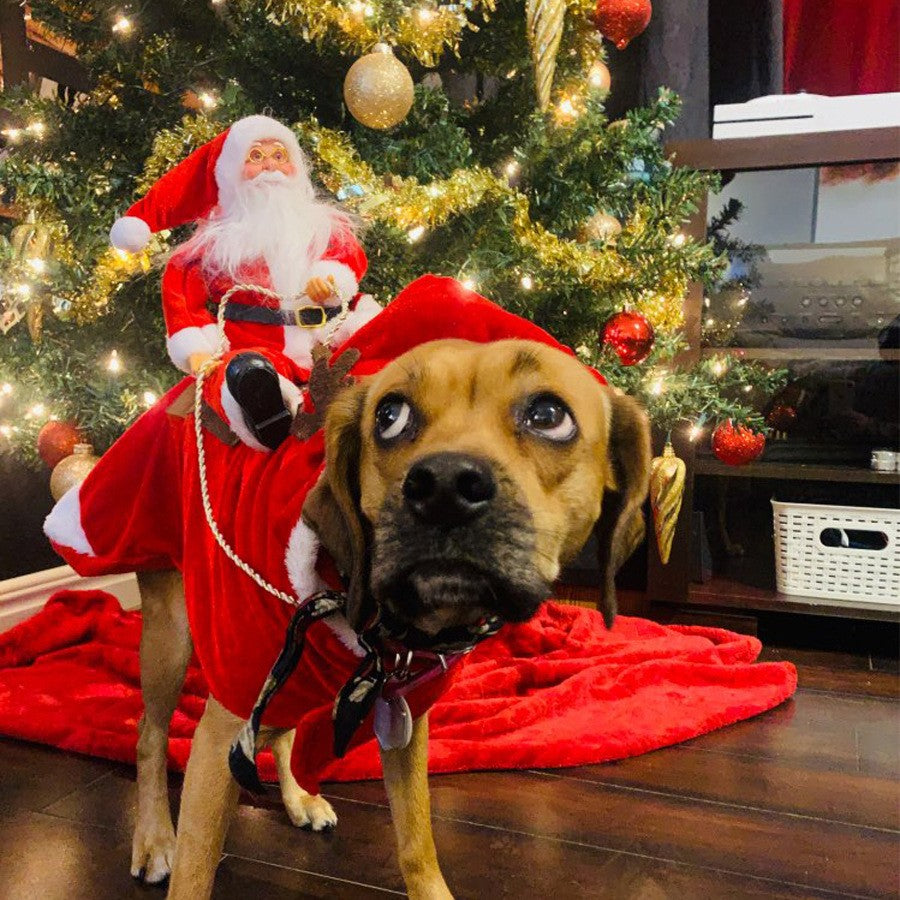 Melhor Presente de Natal Fantasia Divertida de Papai Noel Montando Cão Traje Festivo para Animais de Estimação para Fotografia Estilo Rena Roupa de Papai Noel com S-3XL