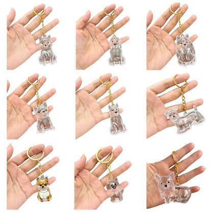 Dog Hair Collection Pendant Hair Storage Box Charm Pet Cute Keychains Clear Plastic Pet Hair Capsule Souvenirs DIY Gifts