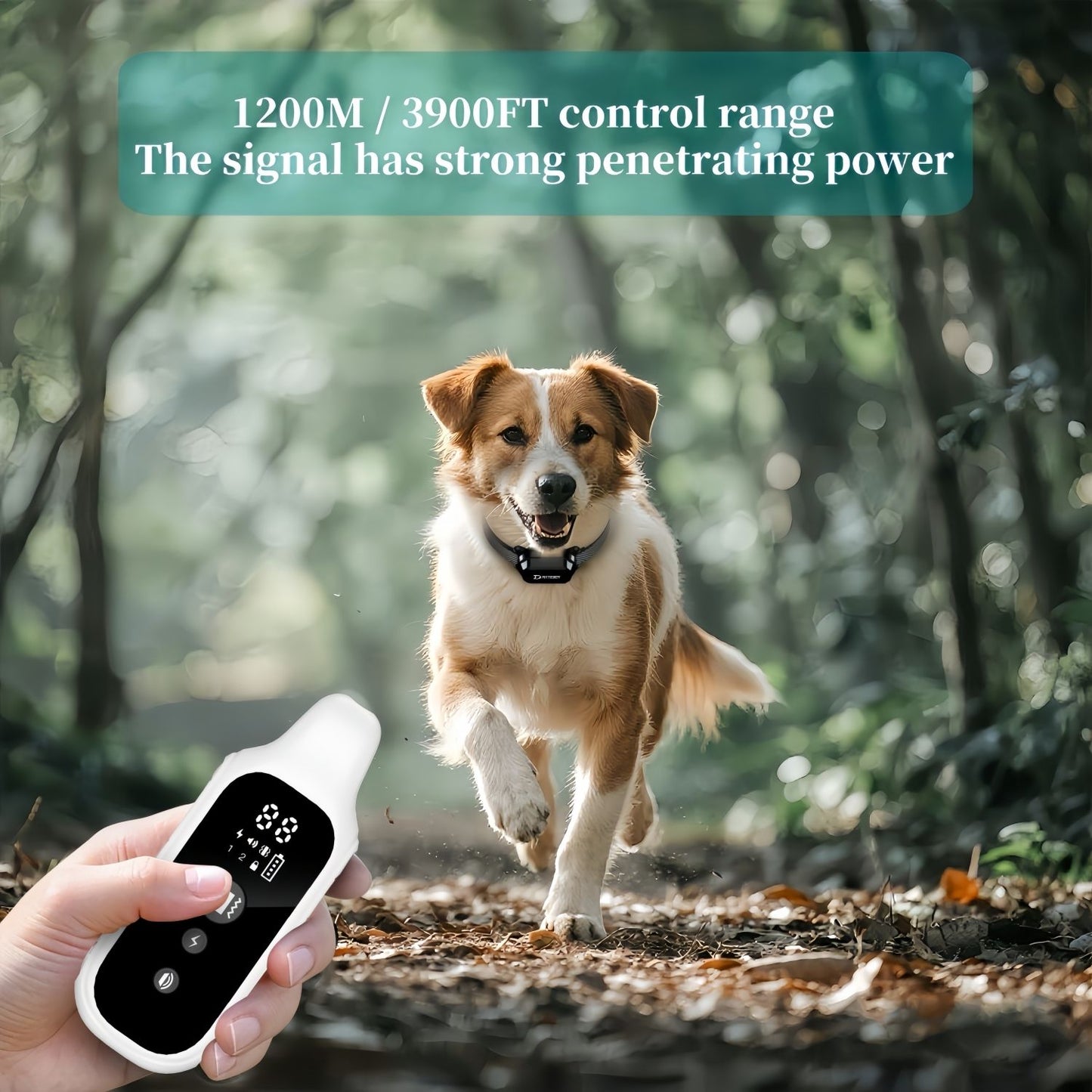 Coleira de Adestramento Digital para Cães 800m à Prova d'Água Recarregável com Controle Remoto para Todos os Tamanhos de Cães com Tela LCD Choque Vibração Som