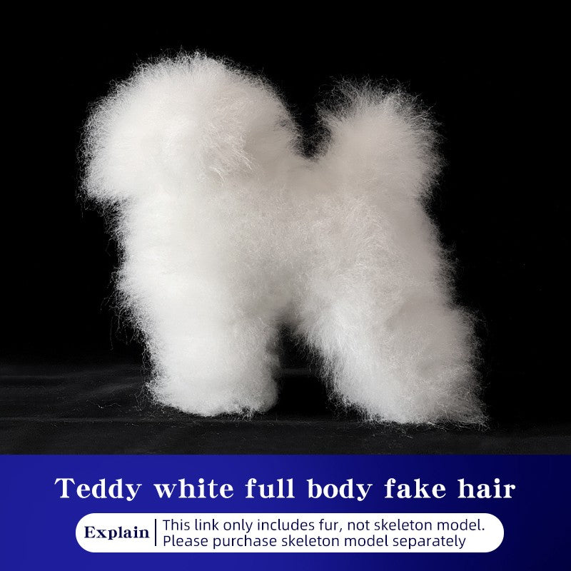 Teddy Pet simulation hair beauty fake beautician practicing dog standard Teddy full body fake head, skeleton model?pet groomer