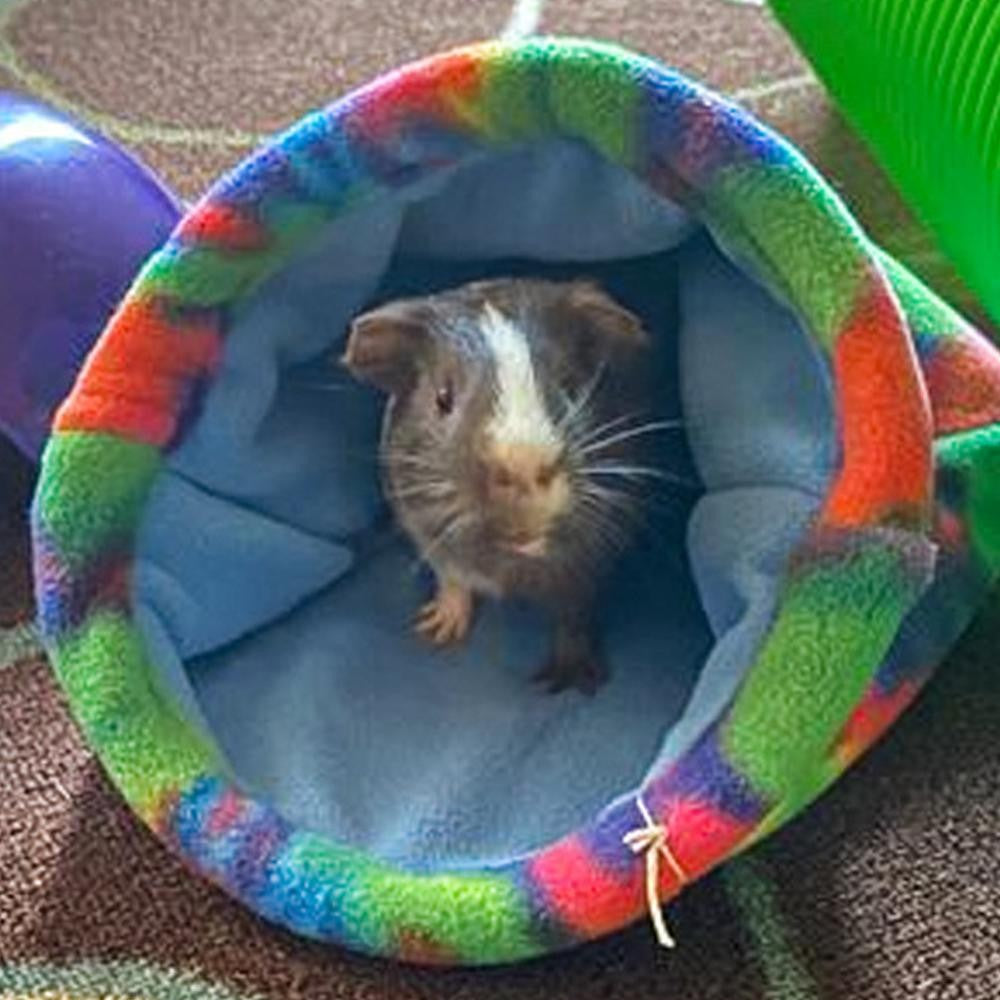 Saco de Dormir para Porquinho da Índia, Casa de Estimação Pequena, Ninho de Pelúcia Colorido e Confortável, Saco de Dormir para Pássaros Pequenos e Pequenos Animais