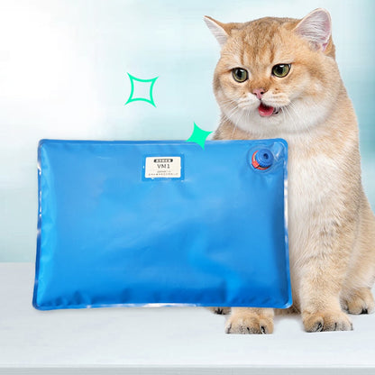 Acessórios Cirúrgicos para Animais Tapete de Posicionamento a Vácuo para Pet Pequeno Bloco de Exame Veterinário Sala de Cuidado de Animais 100x60cm 60x40cm