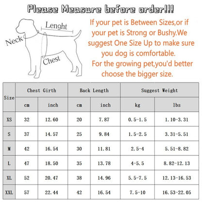 Jaqueta Fashion para Cães Down, Jaqueta de Inverno Quente para Cães, Estampa de Urso, Jaqueta para Cachorros, Casaco Macio e Fofo para Gatos, Roupas para Cães Bulldog Francês