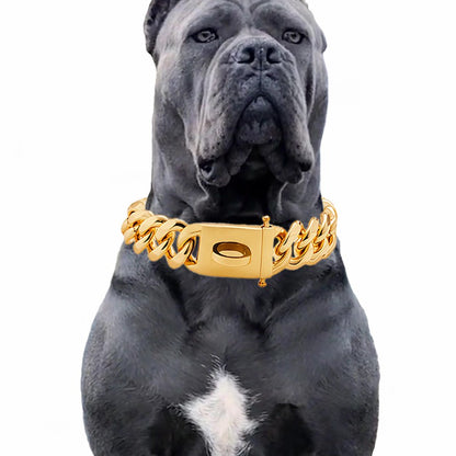 Gold Dog Collar Stainless Steel Metal Pet Choker Silver 19mm Wide Lead for Medium Large Dogs French bulldog Labrador Retriever