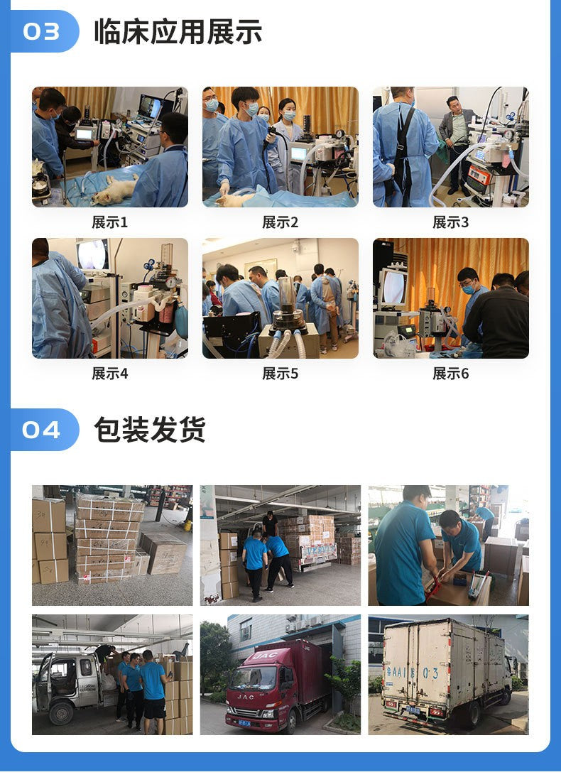 DA1200V2  Pet Veterinary Anaesthesia Respirator Pet Anaesthesia Machine Cats Dogs Respiratory Anaesthesia Machine Aluminium Type