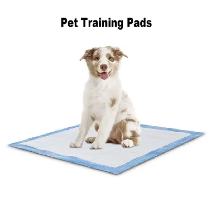 Tapetes Higiênicos Espessos Absorventes para Cães Filhotes à Prova de Vazamento Secagem Rápida Tapete de Urina Descartável