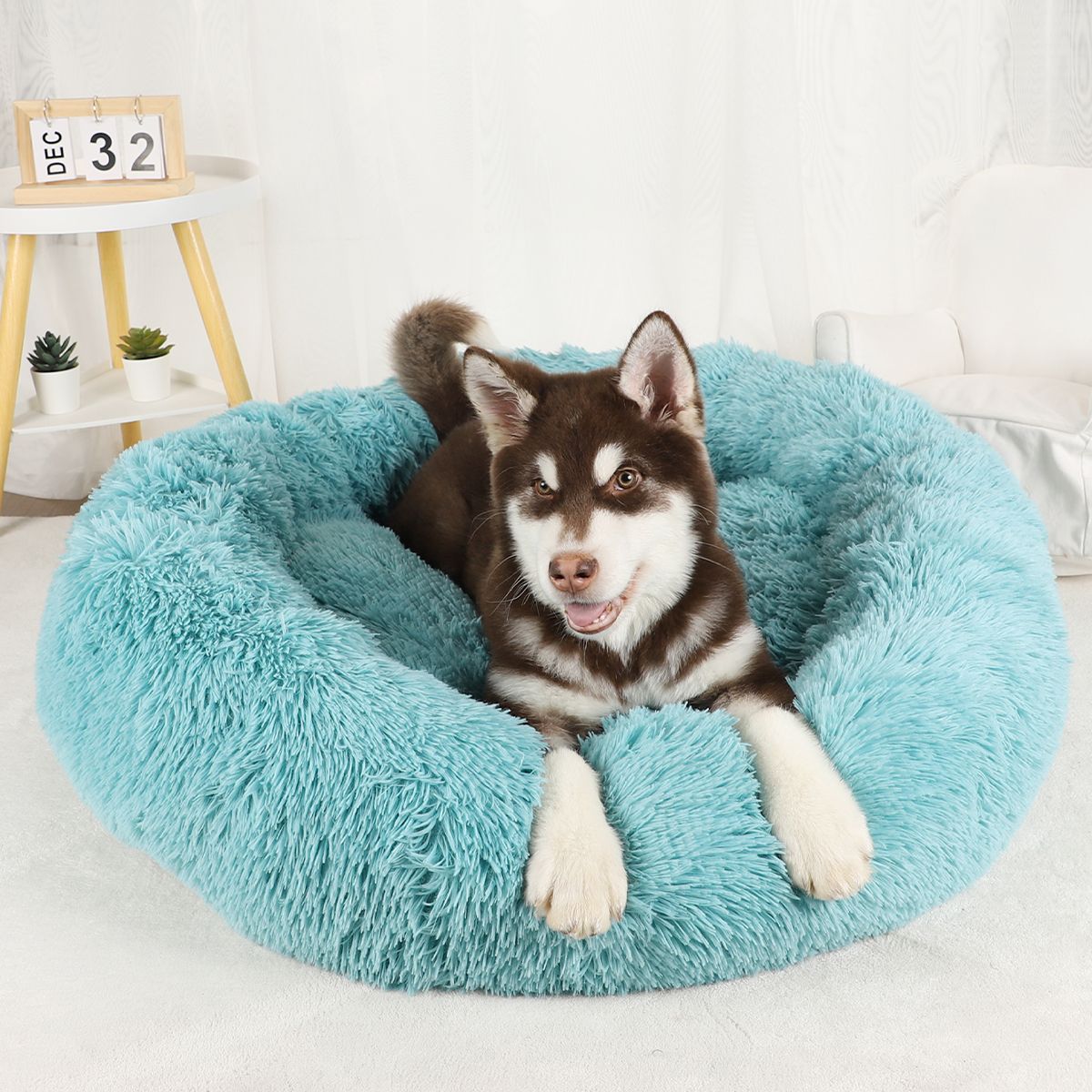 Cama para Cachorro, Donut Grande Redondo, Cesta Pelúcia de Inverno para Cães Médios, Acessórios, Casinha Fofa, Pequeno, Filhote, Animais de Estimação, Gato, Produtos