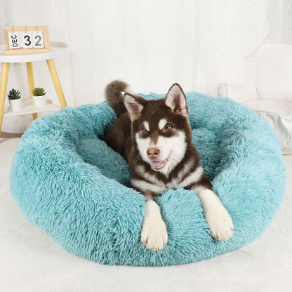Cama para Cachorro, Donut Grande Redondo, Cesta Pelúcia de Inverno para Cães Médios, Acessórios, Casinha Fofa, Pequeno, Filhote, Animais de Estimação, Gato, Produtos
