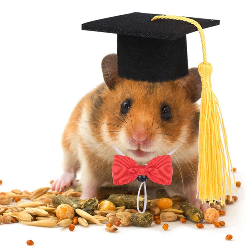 Chapéu de Formatura Pequeno Animal Mini Chapéu de Bacharel com Borla Boné de Estimação Fofo Gravata Borboleta para Gatinho Hamster Acessório de Fantasia para Fotos