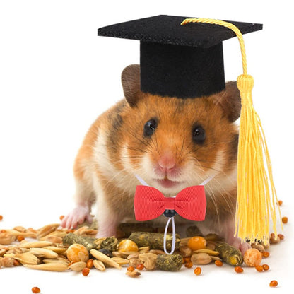 Chapéu de Formatura Pequeno Animal Mini Chapéu de Bacharel com Borla Boné de Estimação Fofo Gravata Borboleta para Gatinho Hamster Acessório de Fantasia para Fotos