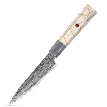 Cutting Tool Chef Santoku Utility Knife white mesh resin HD 67-Layer Damascus Steel Japanese Kiritsuke knife set for kitchen ues