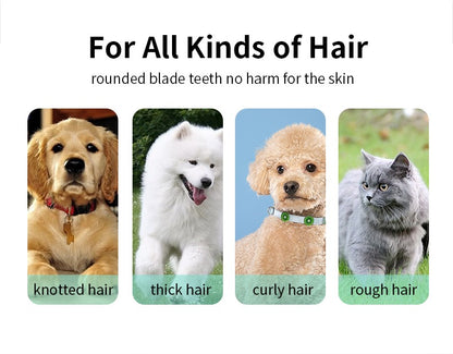 Pet grooming hospital kittensand puppies mute electric push clippers electric waterproof professional shaving haircutting talis