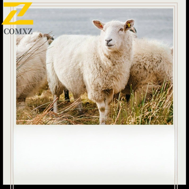 Double Faced Wool Overcoat Man 2025 Winter New Classic Business Casual Notch Lapel TrenchCoat Premium Medium Long Styles? Coat