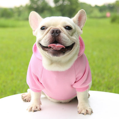 Roupas de Cachorro Fashion Outono e Inverno Roupas para Pequenos Pets Espessamento Quente Cor Sólida Moletom de Duas Pernas com Capuz Produtos Casuais para Pets