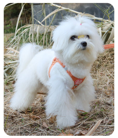 Colete Peitoral de Inverno Quente para Cães Chihuahua com Pelo, Conjunto de Colete Peitoral e Guia para Cães Pequenos, Filhotes, Yorkies, Acessórios para Mascotes