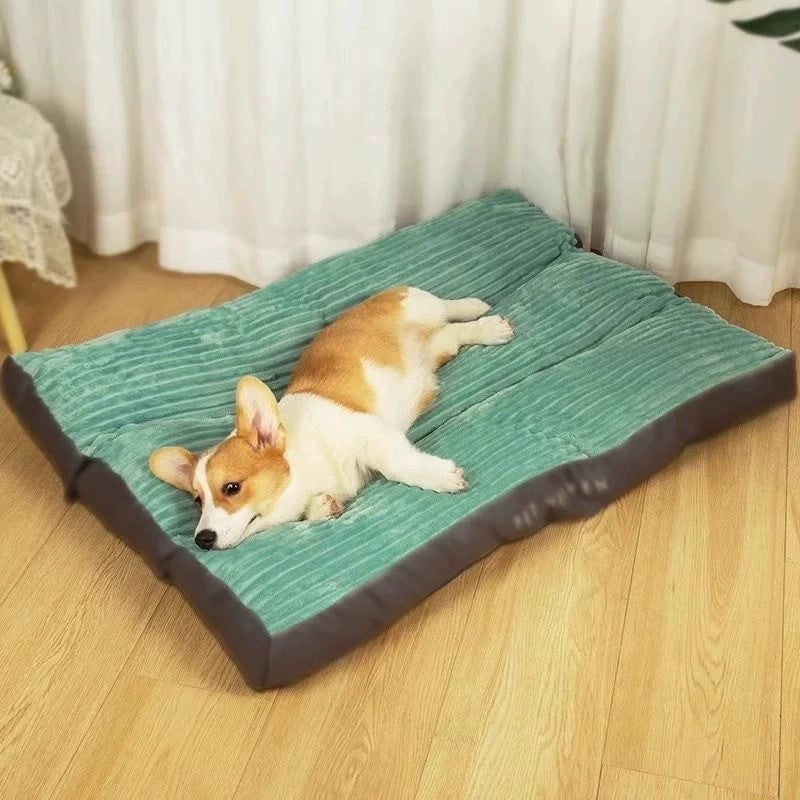Cama para cães para todas as estações, para inverno, para cães pequenos, médios e grandes, cama para gatos quente, destacável e lavável, almofada para produtos para cães