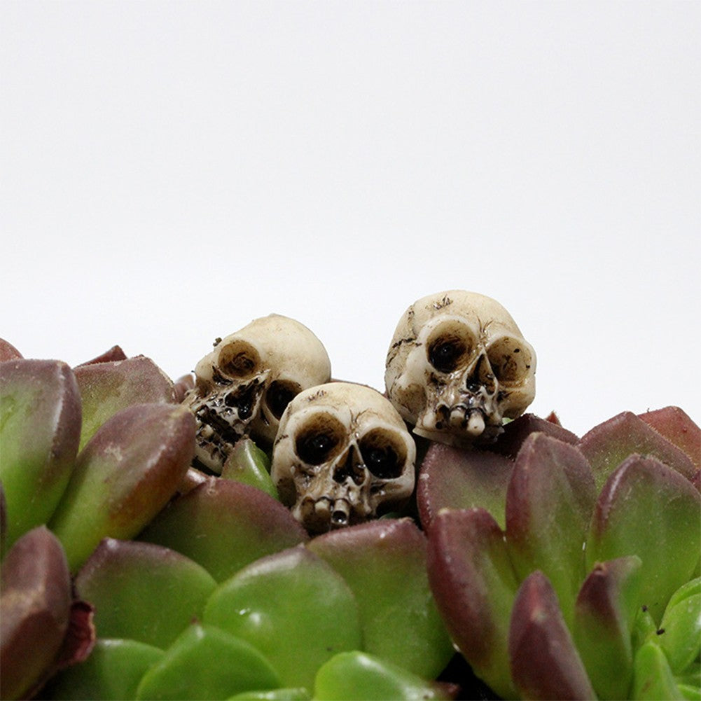 20Pcs Skull Head Sculptures Collectable Halloween Miniature Skulls Heads Decorative Creative Landscape Garden Potted Plant Decor