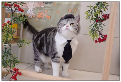 Chapéu Engraçado Para Gatos de Estimação, Boina, Gravata Borboleta, Fantasia de Banho, Gângster Bonito, Adereço de Foto, Fantasia de Halloween Para Animais de Estimação