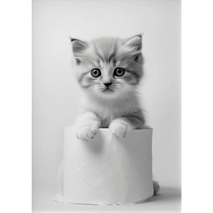 Black and White Cute Animal and Toilet Paper Poster Lion Owl Cat Dog Canvas Painting Wall Art Bathroom Living Room Home Decor