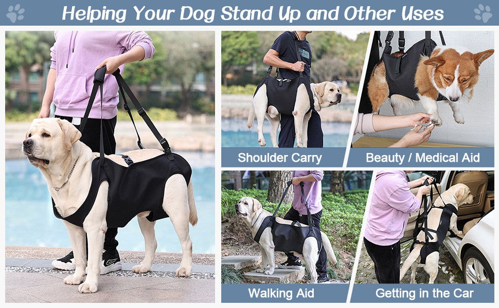 Colete de Apoio para Cães com Suporte Total Ajustável, Alças Respiráveis para Mobilidade Assistida, Reabilitação de Patas e Quadril de Cães
