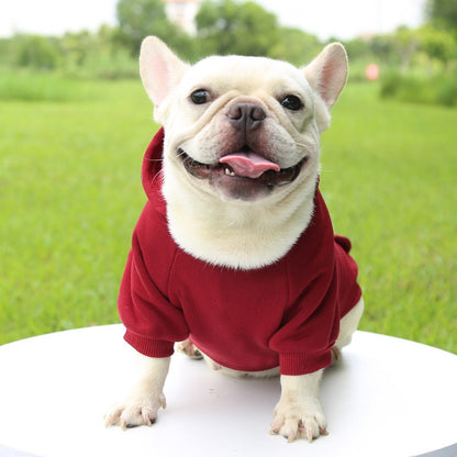 Roupas de Cachorro Fashion Outono e Inverno Roupas para Pequenos Pets Espessamento Quente Cor Sólida Moletom de Duas Pernas com Capuz Produtos Casuais para Pets