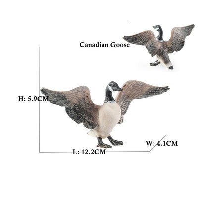 Coruja Flamingo Peru Tucano Seahawk Modelo Animais Estatuetas Plástico Pássaro Brinquedo Boneco de Ação Aventuras na Selva Presentes para Crianças Zoológico da Floresta