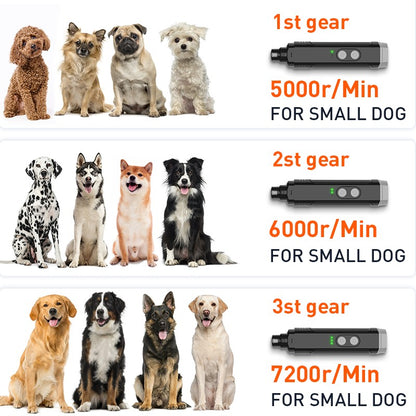 ROJECO P3 Lixador de Unhas Elétrico para Pets Aparador de Unhas de Cachorro com 2 Luzes LED Recarregável Ferramentas para Aparar Unhas de Gato